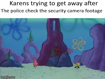 art - Karens trying to get away after The police check the security camera footage Eb Imgf p.com