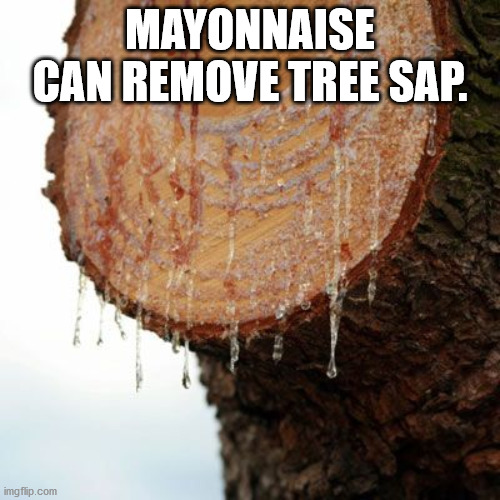 wood - Mayonnaise Can Remove Tree Sap. imgflip.com