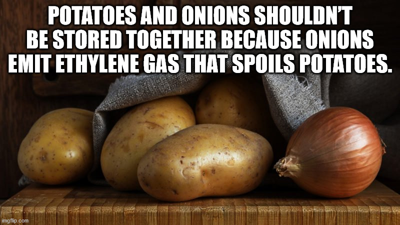 excellence real estate - Potatoes And Onions Shouldn'T Be Stored Together Because Onions Emit Ethylene Gas That Spoils Potatoes. imgflip.com