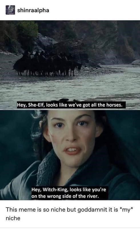 lord of the rings memes arwen - ishinraalpha Aiden Hey, SheElf, looks we've got all the horses. Hey, WitchKing, looks you're on the wrong side of the river. This meme is so niche but goddamnit it is my niche