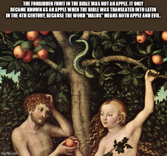 public domain adam and eve - The Forbidden Fruit In The Bible Was Not An Apple. It Only Became Known As An Apple When The Bible Was Translated Into Latin In The 4TH Century, Because The Word "Malus" Means Both Apple And Evil. imgflip.com