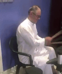 Moving Image Mayhem (Animal Edition)