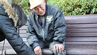 Moving Image Mayhem (Animal Edition)