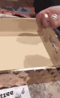 Moving Image Mayhem (Animal Edition)