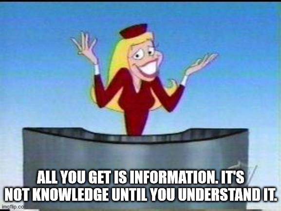 cartoon - All You Get Is Information. It'S Not Knowledge Until You Understand It. imgflip.co