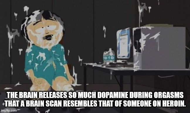 came buckets - T The Brain Releases So Much Dopamine During Orgasms That A Brain Scan Resembles That Of Someone On Heroin. imgflip.com