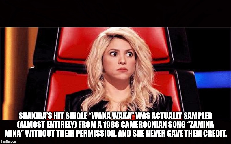 blond - Shakira'S Hit Single "Waka Waka Was Actually Sampled Almost Entirely From A 1986 Cameroonian Song Zamina Mina Without Their Permission, And She Never Gave Them Credit. imgflip.com