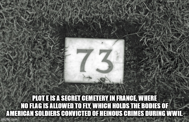 earth somebody that i used - 73 Plote Is A Secret Cemetery In France, Where No Flag Is Allowed To Fly, Which Holds The Bodies Of American Soldiers Convicted Of Heinous Crimes During Wwil imgflip.com