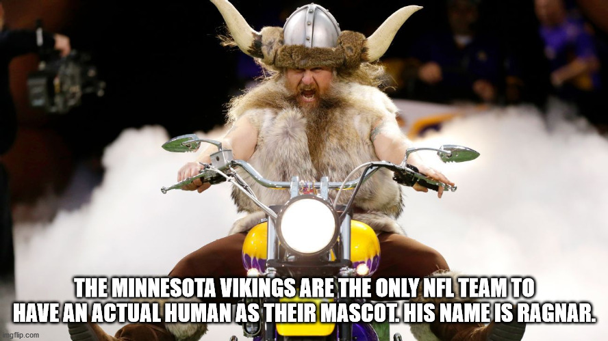 photo caption - The Minnesota Vikings Are The Only Nfl Team To Have An Actual Human As Their Mascot. His Name Is Ragnar. imgflip.com