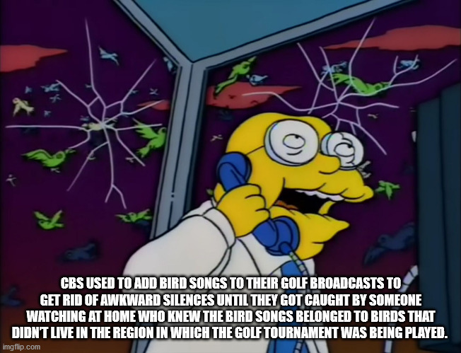 no that's too big - Cbs Used To Add Bird Songs To Their Golf Broadcasts To Get Rid Of Awkward Silences Until They Got Caught By Someone Watching At Home Who Knew The Bird Songs Belonged To Birds That Didnt Live In The Region In Which The Golf Tournament W