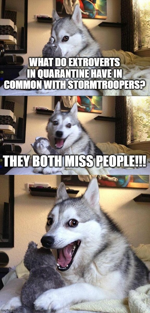 dog meme funny joke - What Do Extroverts In Quarantine Have In Common With Stormtroopers? They Both Miss People!!! imgflip.com