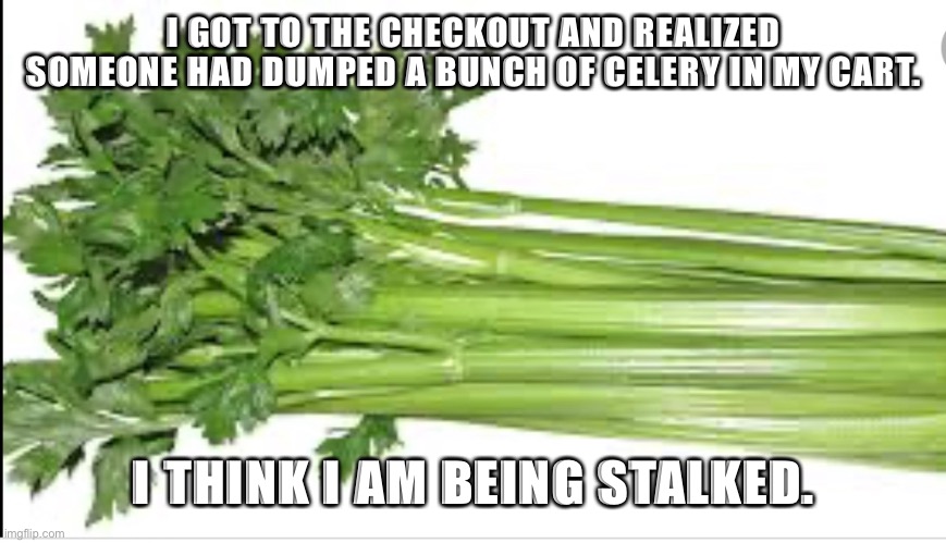 I Got To The Checkout And Realized Someone Had Dumped A Bunch Of Celery In My Cart. I Think I Am Being Stalked. imgflip.com