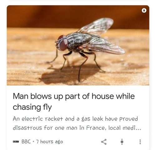 Fly - Man blows up part of house while chasing fly An electric racket and a gas leak have proved disastrous for one man in France, local medi... He Bbc. 7 hours ago