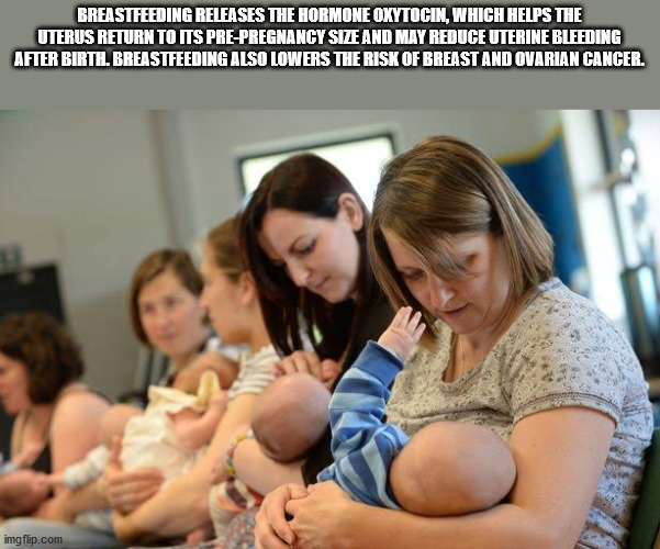 photo caption - Breastfeeding Releases The Hormone Oxytocin, Which Helps The Uterus Return To Its PrePregnancy Size And May Reduce Uterine Bleeding After Birtil Breastfeeding Also Lowers The Risk Of Breast And Ovarian Cancer. imgflip.com