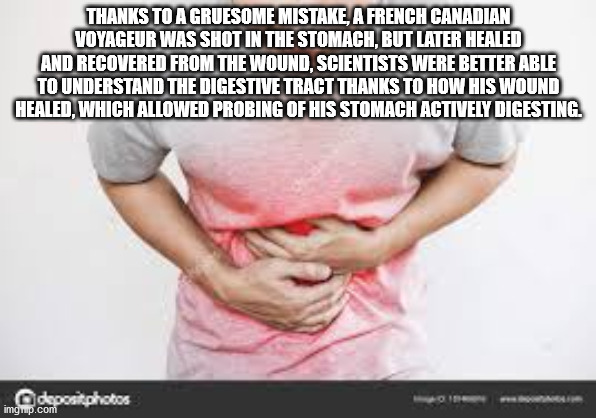 xzibit yo dawg - Thanks To A Gruesome Mistake, A French Canadian Voyageur Was Shot In The Stomach, But Later Healed And Recovered From The Wound, Scientists Were Better Able To Understand The Digestive Tract Thanks To How His Wound Healed, Which Allowed P
