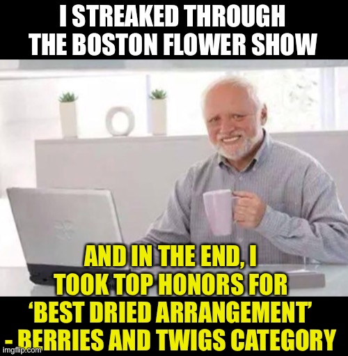 photo caption - I Streaked Through The Boston Flower Show And In The End, I Took Top Honors For Best Dried Arrangement Berries And Twigs Category imgflip.com