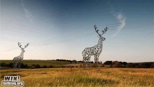 deer transmission towers - Win! failblog.org