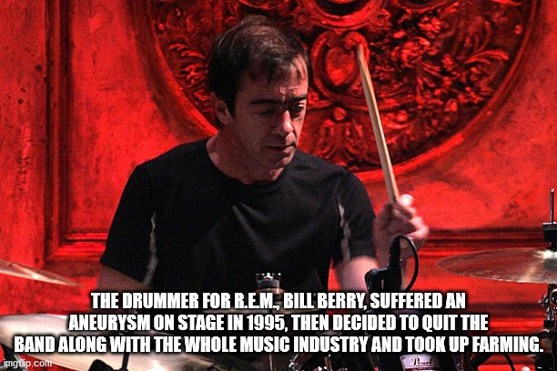bill berry drummer - The Drummer For Rem, Bill Berry, Suffered An Aneurysm On Stage In 1995, Then Decided To Quit The Band Along With The Whole Music Industry And Took Up Farming. imgflip.com