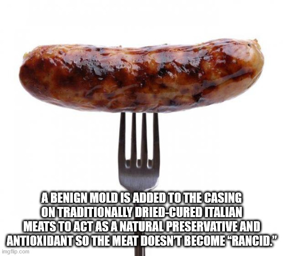bratwurst - A Benign Mold Is Added To The Casing On Traditionally DriedCured Italian Meats To Act As A Natural Preservative And Antioxidant So The Meat Doesnt Become Rancid." imgflip.com
