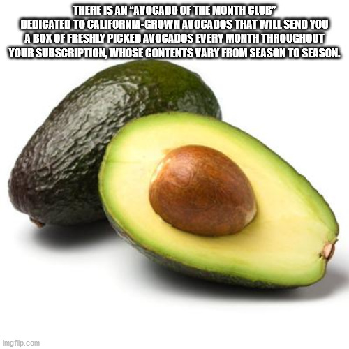 avocado - There Is An Avocado Of The Month Club" Dedicated To CaliforniaGrown Avocados That Will Send You A Box Of Freshly Picked Avocados Every Month Throughout Your Subscription, Whose Contents Vary From Season To Season. imgflip.com