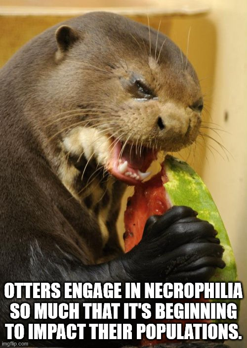 otter watermelon - Otters Engage In Necrophilia So Much That It'S Beginning To Impact Their Populations. imgflip.com