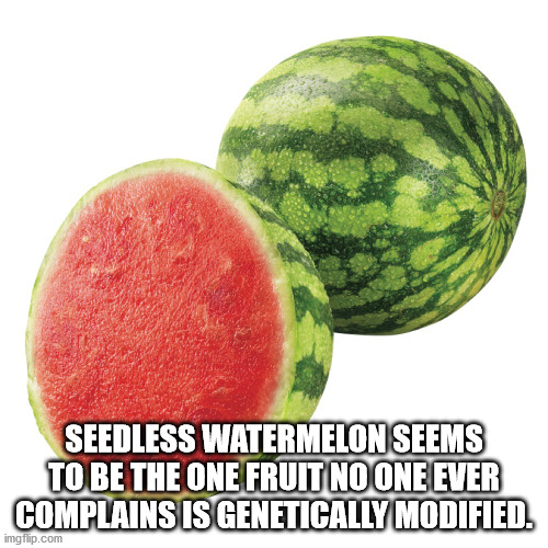 20 Shower Thoughts for the Nude Philosophers