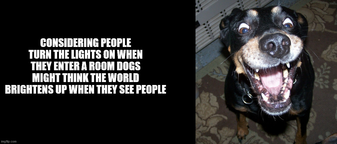 20 Shower Thoughts for the Nude Philosophers