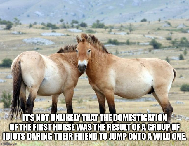 20 Shower Thoughts for the Nude Philosophers