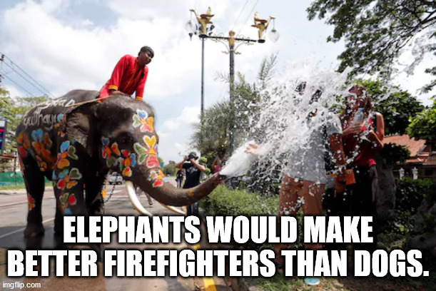 20 Shower Thoughts for the Nude Philosophers