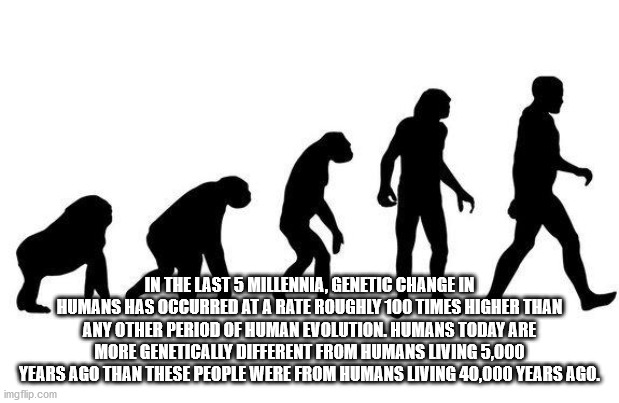 evolution theory - Markt In The Last 5 Millennia, Genetic Change In Humans Has Occurred At A Rate Roughly 100 Times Higher Than Any Other Period Of Human Evolution. Humans Today Are More Genetically Different From Humans Living 5,000 Years Ago Than These 