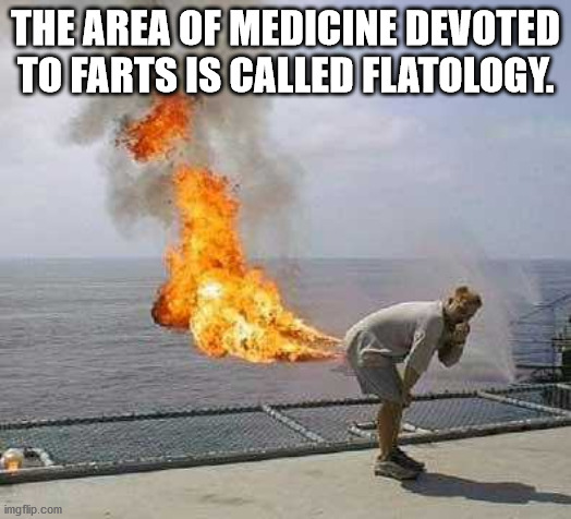 most satisfying thing in the world - The Area Of Medicine Devoted To Farts Is Called Flatology. imgflip.com