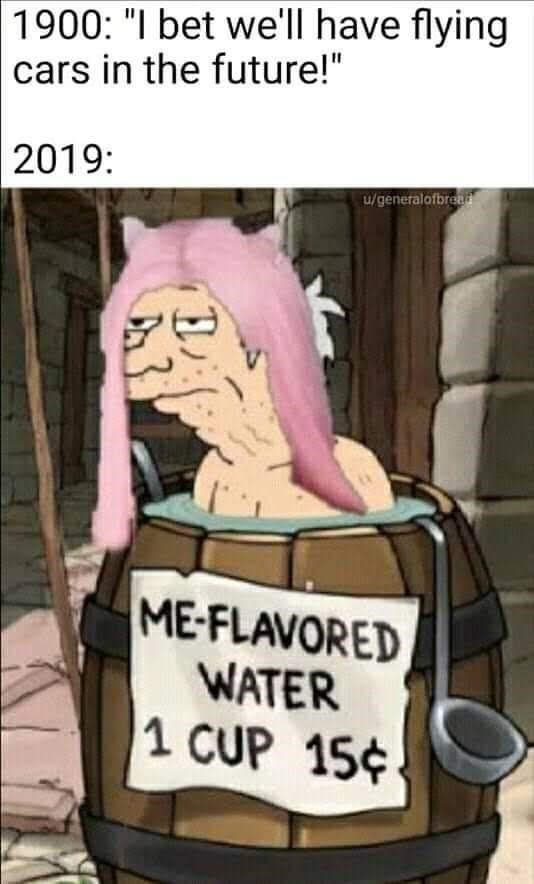 me flavored water meme - 1900 "I bet we'll have flying cars in the future!" 2019 ugeneralofbreed MeFlavored Water 1 Cup 15