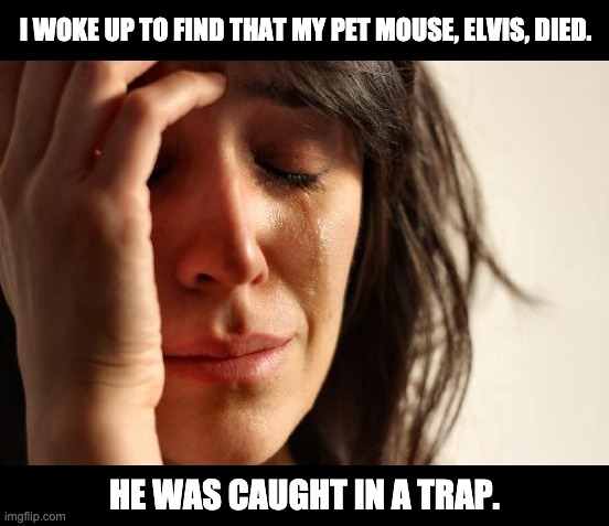 first world problems meme - I Woke Up To Find That My Pet Mouse, Elvis, Died. He Was Caught In A Trap. imgflip.com