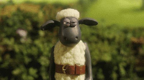 shaun the sheep gif