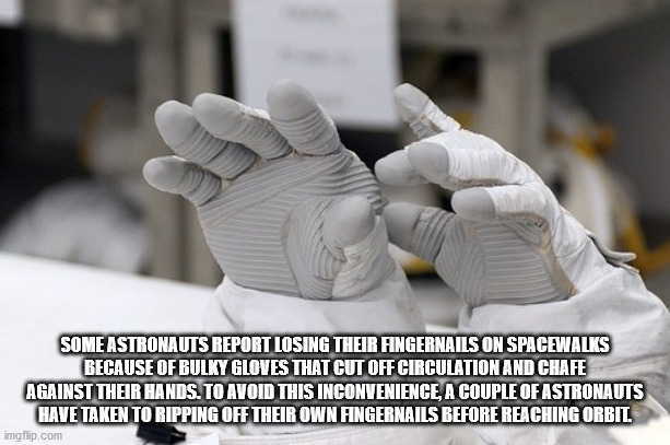 hand - Some Astronauts Report Losing Their Fingernails On Spacewalks Because Of Bulky Gloves That Cut Off Circulation And Chafe Against Their Hands. To Avoid This Inconvenience, A Couple Of Astronauts Have Taken To Ripping Off Their Own Fingernails Before