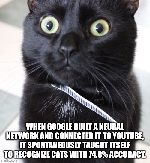 aba cat meme - When Google Built A Neural Network And Connected It To Youtube It Spontaneously Taught Itself To Recognize Cats With 74.8% Accuracy. imgflip.com