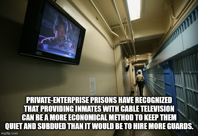 atlanta falcons cheerleaders - PrivateEnterprise Prisons Have Recognized That Providing Inmates With Cable Television Can Be A More Economical Method To Keep Them Quiet And Subdued Than It Would Be To Hire More Guards. imgflip.com