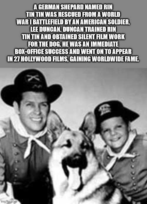 A German Shepard Named Rin Tin Tin Was Rescued From A World War I Battlefield By An American Soldier, Lee Duncan. Duncan Trained Rin Tin Tin And Obtained Silent Film Work For The Dog. He Was An Immediate BoxOffice Success And Went On To Appear In 27…