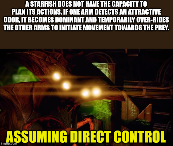 assuming direct control - A Starfish Does Not Have The Capacity To Plan Its Actions. If One Arm Detects An Attractive Odor, It Becomes Dominant And Temporarily OverRides The Other Arms To Initiate Movement Towards The Prey. Assuming Direct Control imgflip