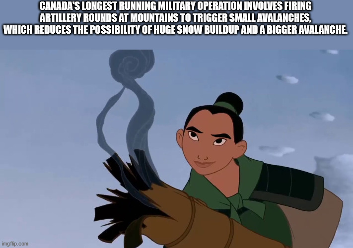 Mulan - Canada'S Longest Running Military Operation Involves Firing Artillery Rounds At Mountains To Trigger Small Avalanches, Which Reduces The Possibility Of Huge Snow Buildup And A Bigger Avalanche imgflip.com