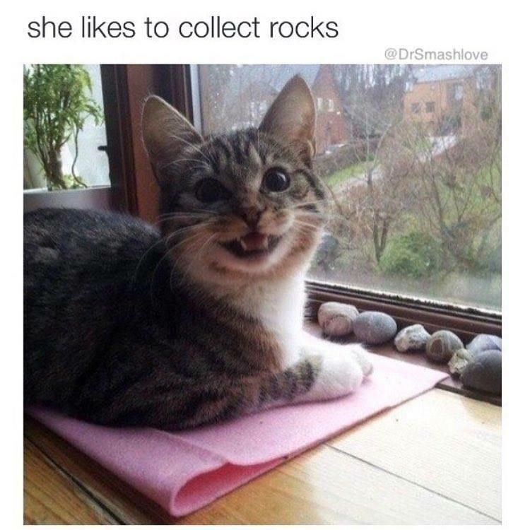 she likes to collect rocks - she to collect rocks