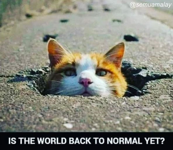 world back to normal yet - Is The World Back To Normal Yet?