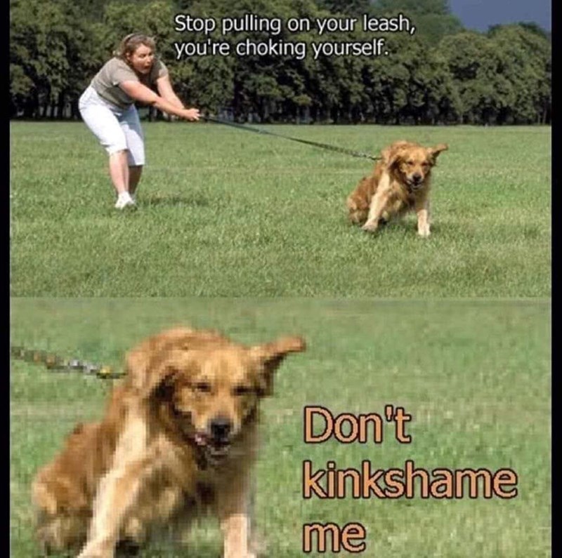 kink shame dog meme - Stop pulling on your leash, you're choking yourself. Don't kinkshame me
