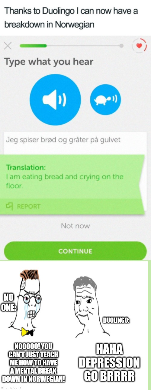 paper - Thanks to Duolingo I can now have a breakdown in Norwegian Type what you hear 3 Jeg spiser brd og grter p gulvet Translation I am eating bread and crying on the floor. Report Not now Continue No One Utd Duolingo NO0000! You Cant Just Teach Me How 