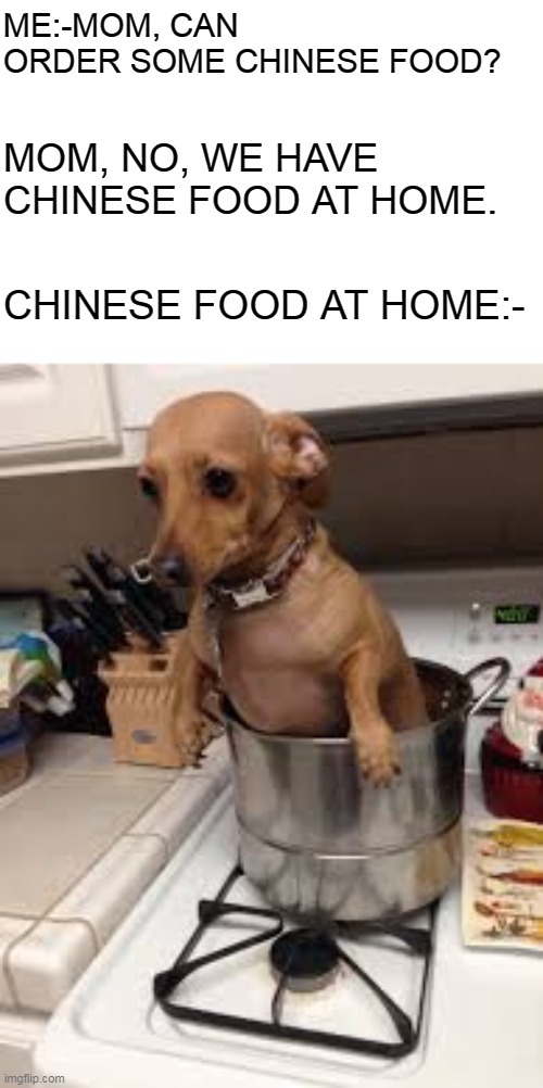 dog in a pot - MeMom, Can Order Some Chinese Food? Mom, No, We Have Chinese Food At Home. Chinese Food At Home imgflip.com