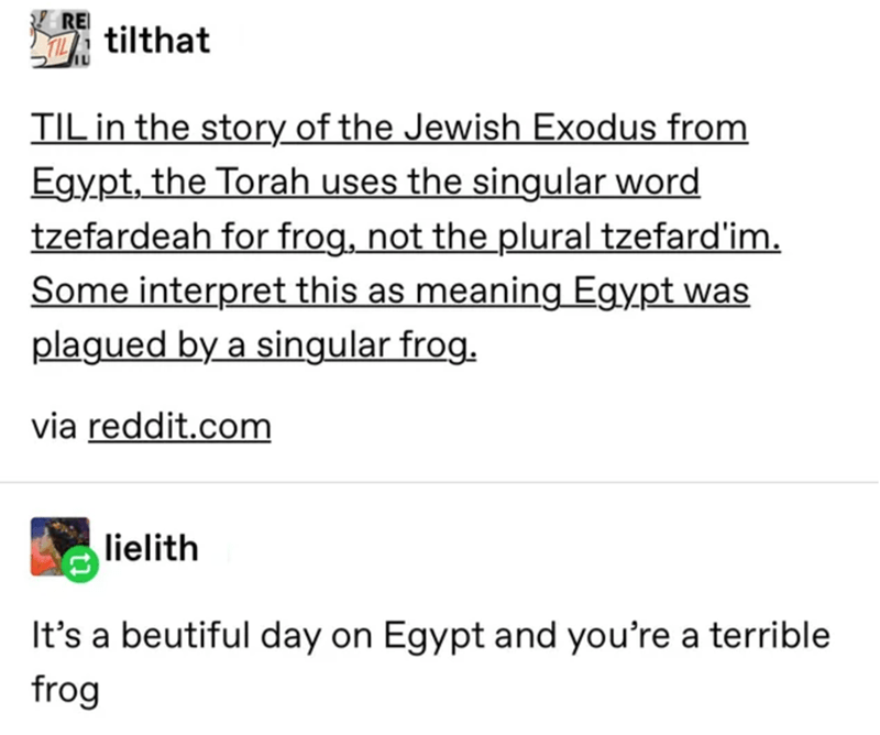 Humour - Re tilthat Til in the story of the Jewish Exodus from Egypt, the Torah uses the singular word tzefardeah for frog, not the plural tzefardlim. Some interpret this as meaning Egypt was plagued by a singular frog. via reddit.com lielith It's a beuti