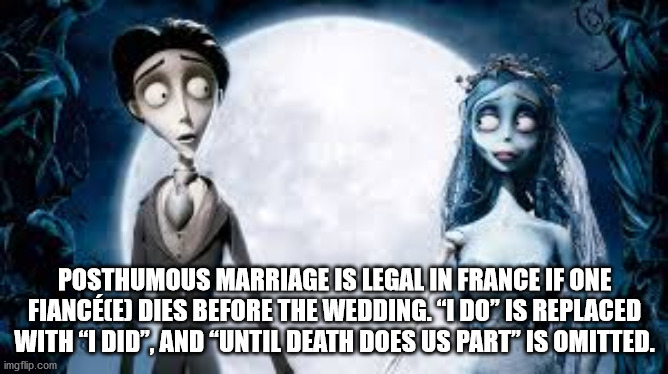 corpse bride - Posthumous Marriage Is Legal In France If One Fianccej Dies Before The Wedding. "I Do Is Replaced With I Did", And Until Death Does Us Part" Is Omitted. imgflip.com