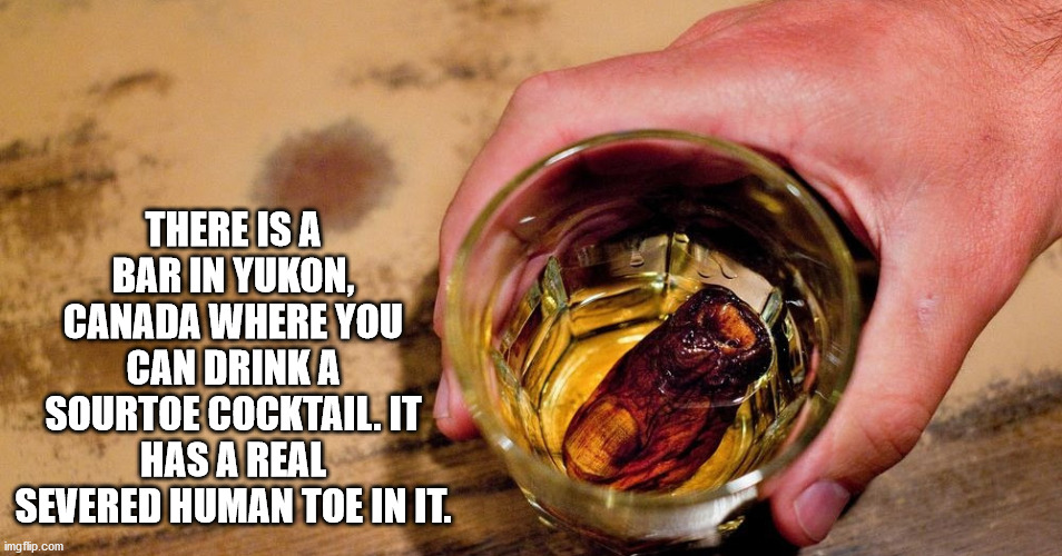 sour toe cocktail - There Is A Bar In Yukon, Canada Where You Can Drinka Sourtoe Cocktail. It Has A Real Severed Human Toe In It. imgflip.com