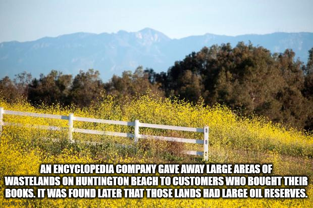 grassland - An Encyclopedia Company Gave Away Large Areas Of Wastelands On Huntington Beach To Customers Who Bought Their Books. It Was Found Later That Those Lands Had Large Oil Reserves. imgfhp.co