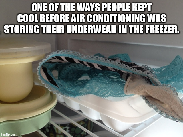 plastic - One Of The Ways People Kept Cool Before Air Conditioning Was Storing Their Underwear In The Freezer. imgflip.com